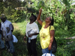 VLUU L200 / Samsung L200