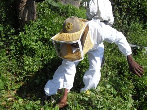 VLUU L200 / Samsung L200